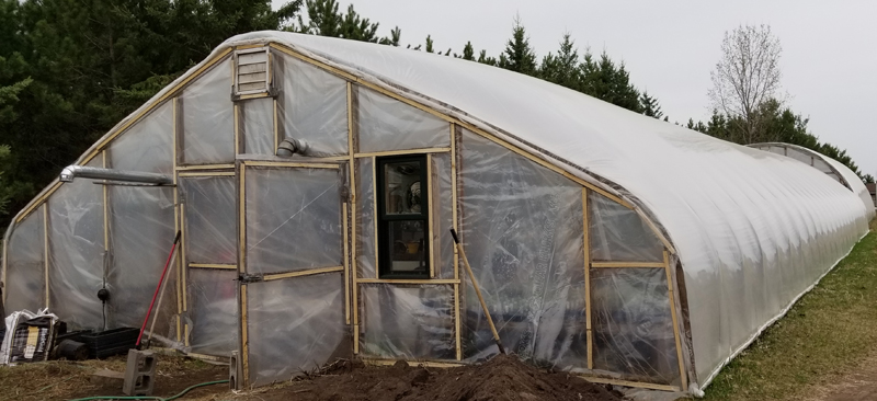 Greenhouse 3 Outside