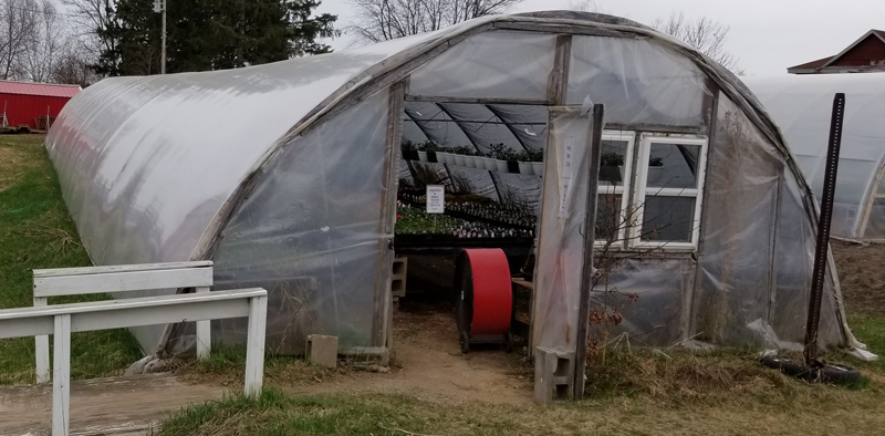 Greenhouse 1 Outside