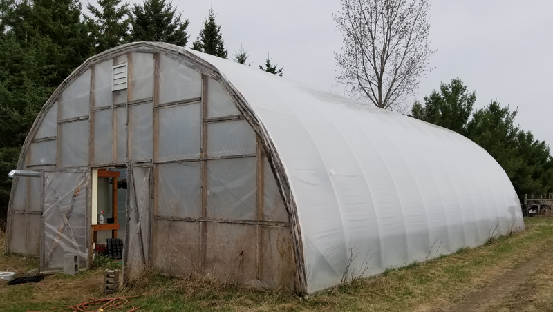 Greenhouse 4 Outside