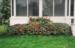 Geraniums, Impatiens, & Vinca Vines