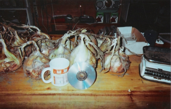 Walla Walla Onions 3